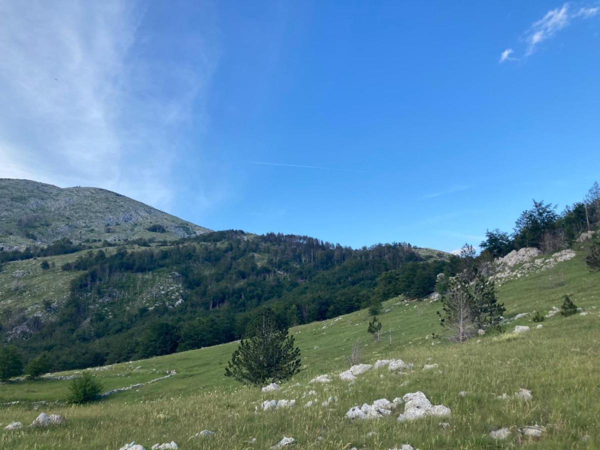 Mountain House Varda Ledenice Bagian luar foto