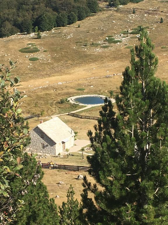 Mountain House Varda Ledenice Bagian luar foto