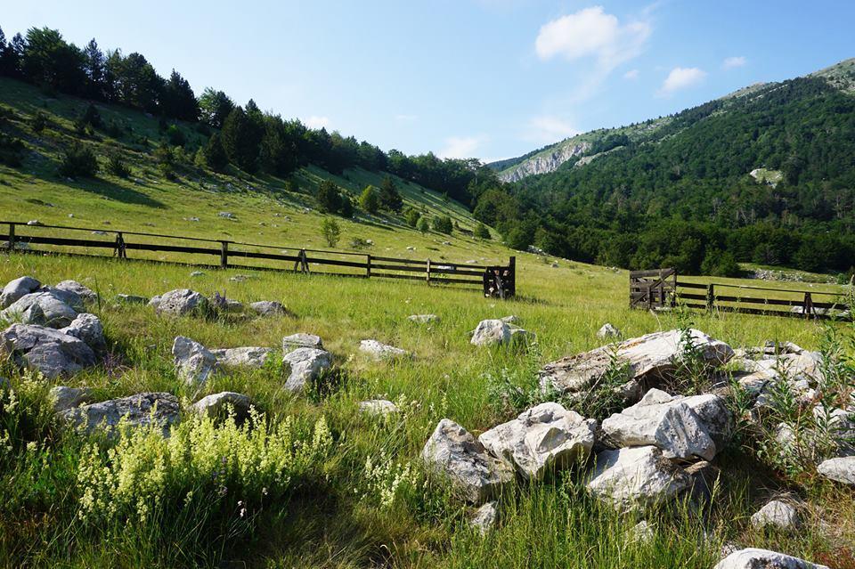 Mountain House Varda Ledenice Bagian luar foto